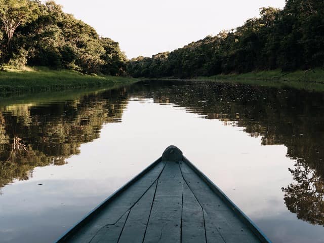 Untamed amazon passeio